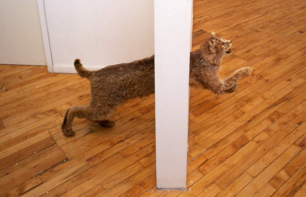Installation view of the group show trophy, a taxidermy like sculpture displayed in motion.