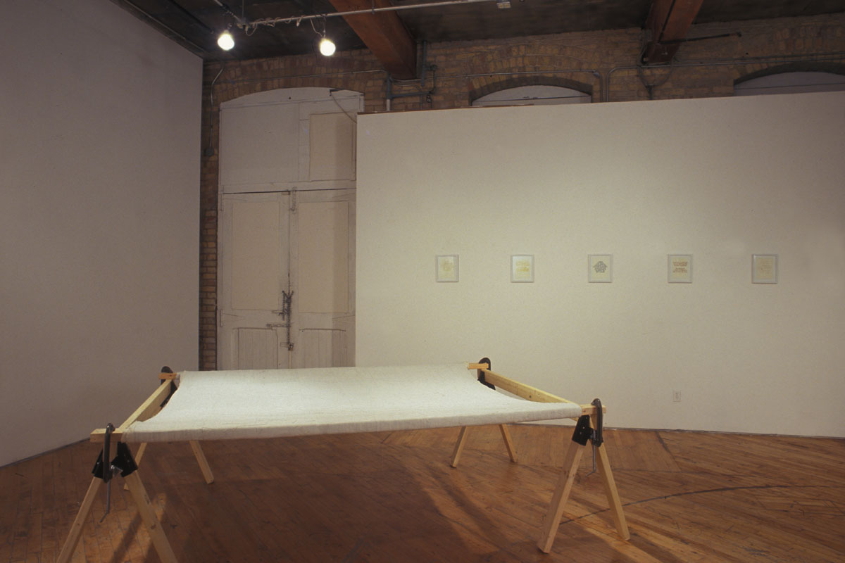 Ginger Brooks Takahashi, installation.