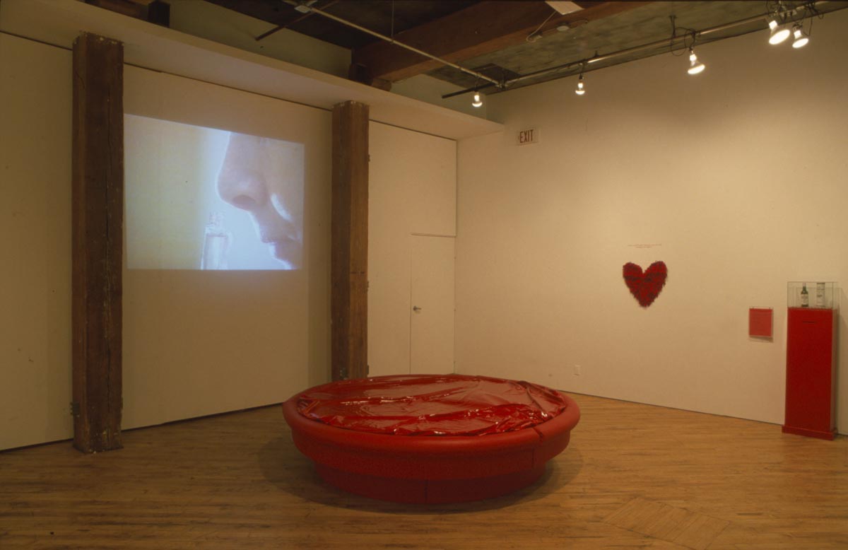 Clara Ursitti: Installation view, vide projection.