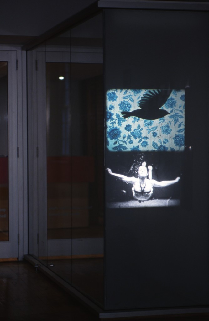 Annie MacDonell: Video projection, window,16mm retro projection installed in two separate loops