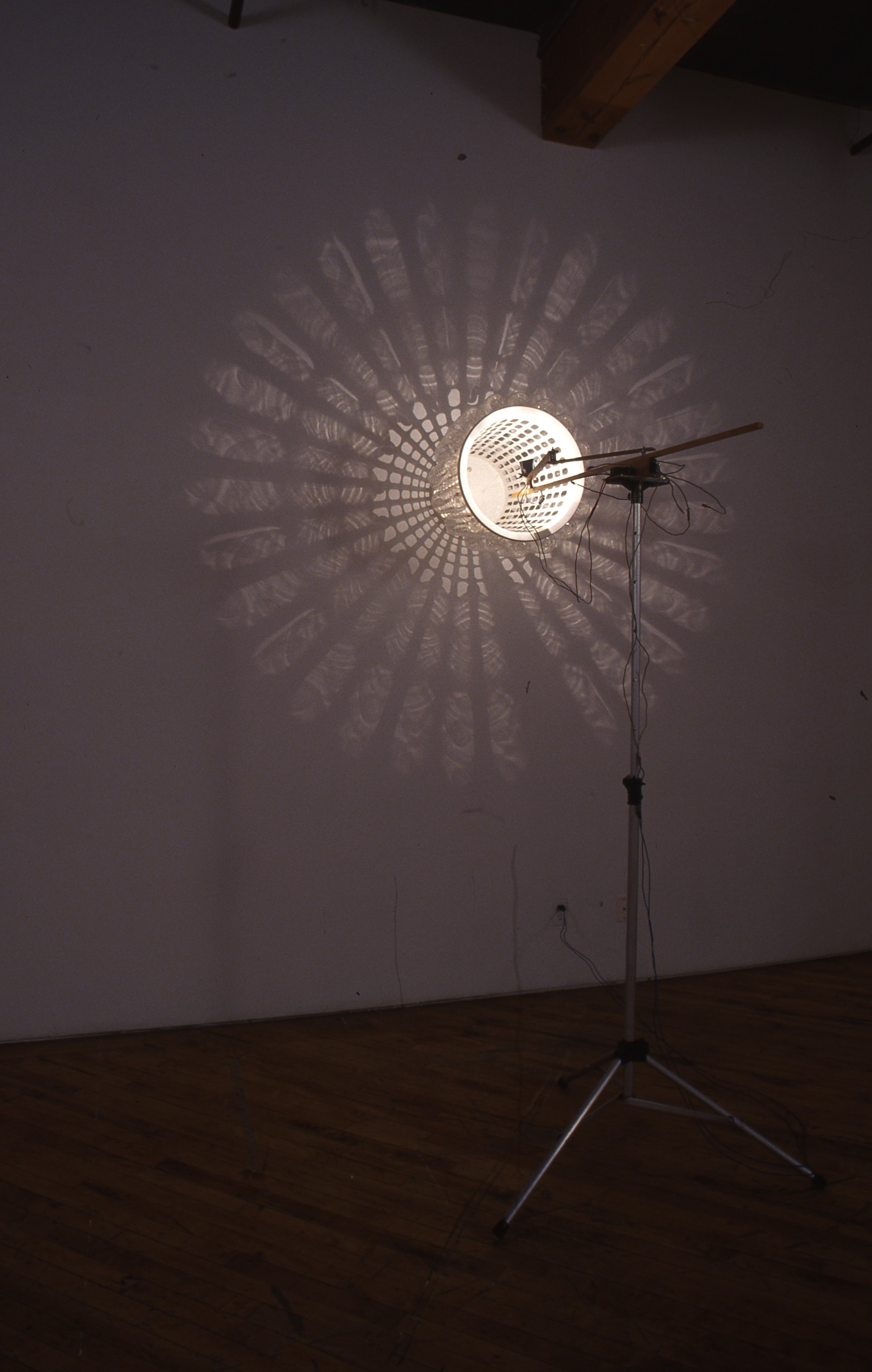 Diane Landry: Installation view