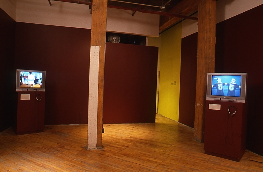 Hollman: Installation view, video monitors on plinths.