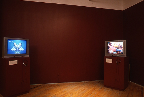 Hollman: Installation view, video monitors on plinths.