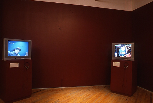 Hollman: Installation view, video monitors on plinths.