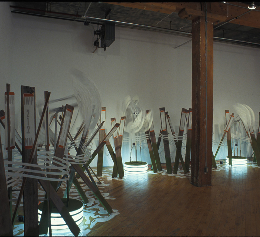 Lynn Richardson, installation view,