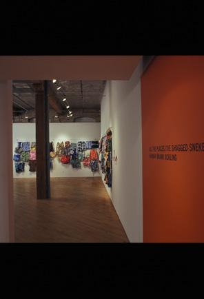 Hannah Miami Jickling, installation, images hang on adjacent walls.