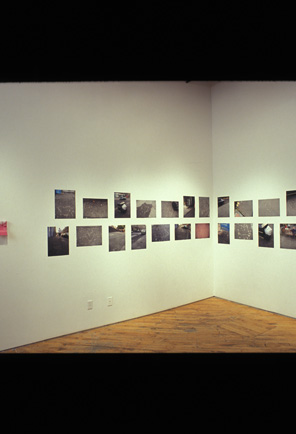 Hannah Miami Jickling, installation, images hang on adjacent walls.