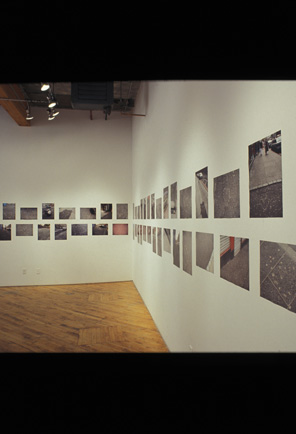 Hannah Miami Jickling, installation, images hang on adjacent walls.