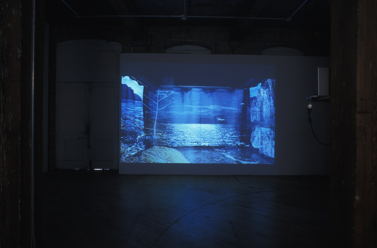 This work is composed of a series of video impressions, schematically arranged in virtual space to 