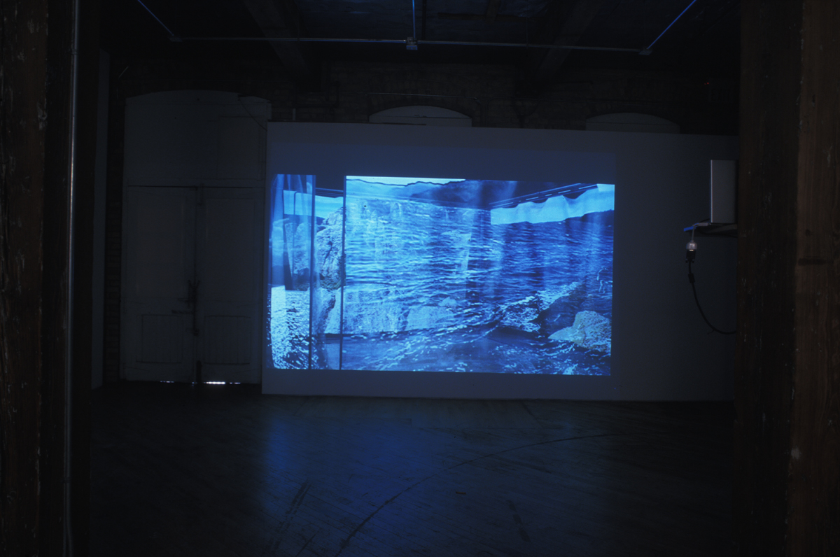 Scapeland II: This work is composed of a series of video impressions, schematically arranged in virtual space to 