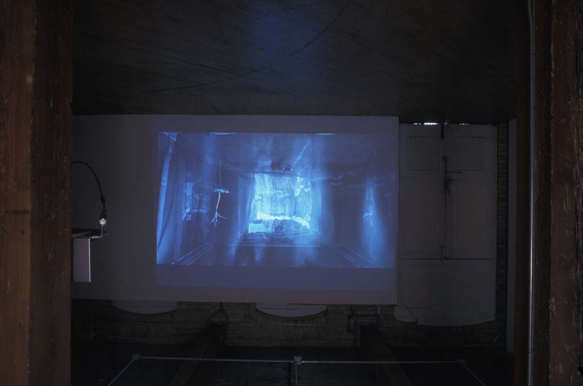 Scapeland II: This work is composed of a series of video impressions, schematically arranged in virtual space to 