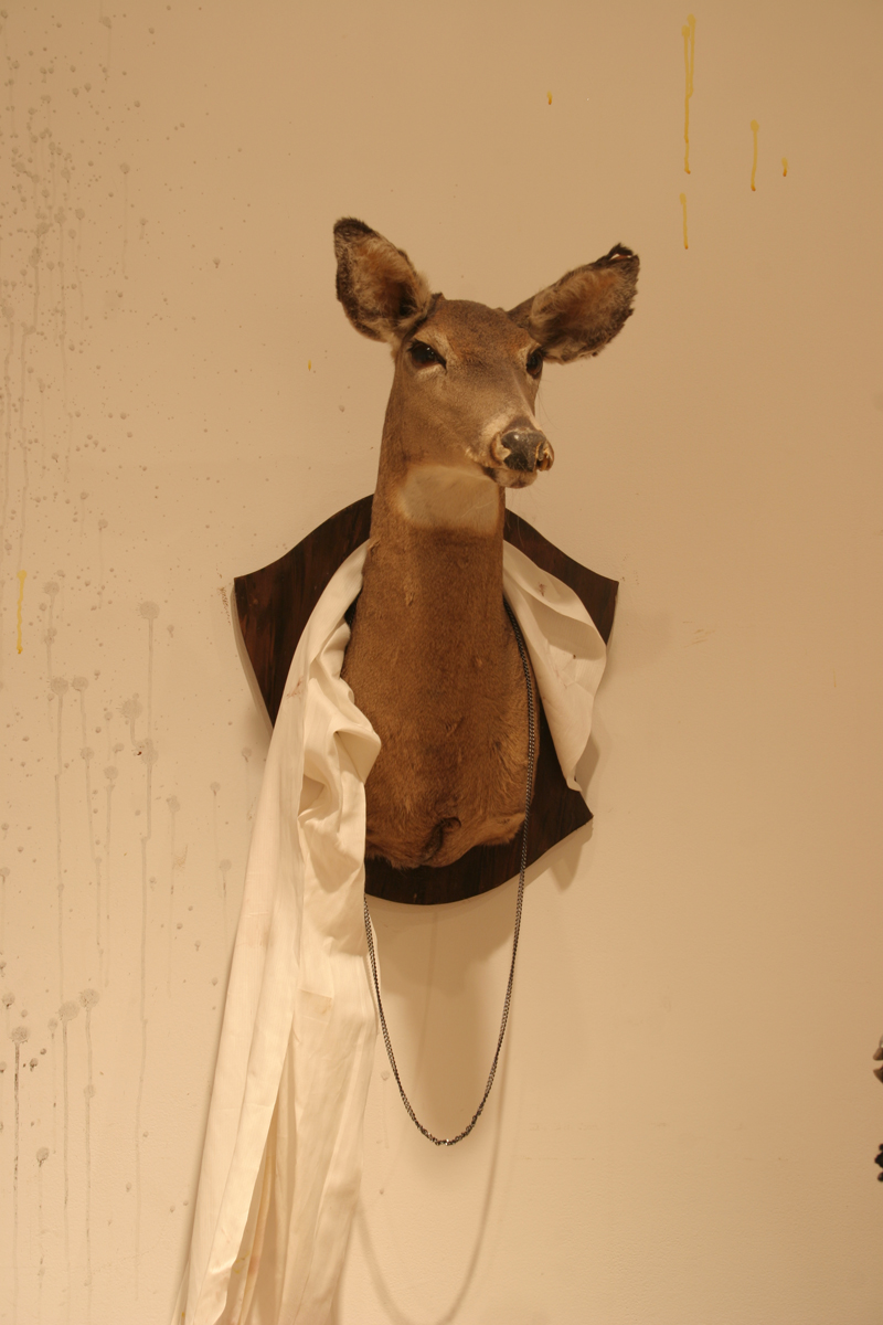 Swintak: Residency, image of a taxidermy deer hung on wall.