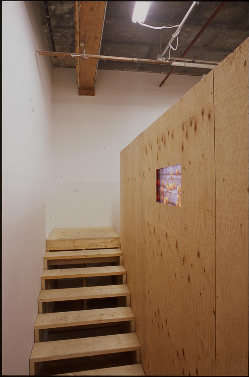 Koki Tanaka, installation view, residency.