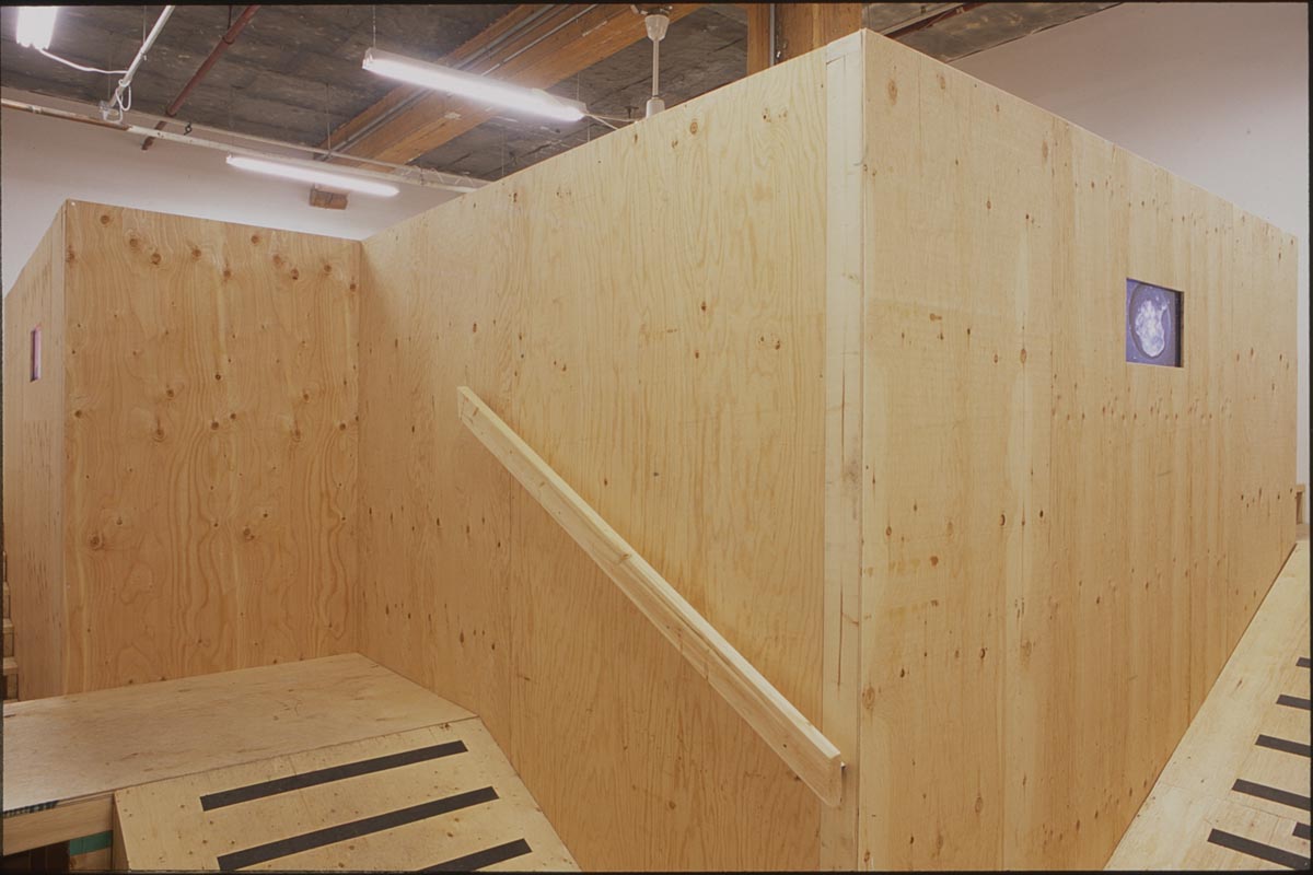 Koki Tanaka, installation view, residency.