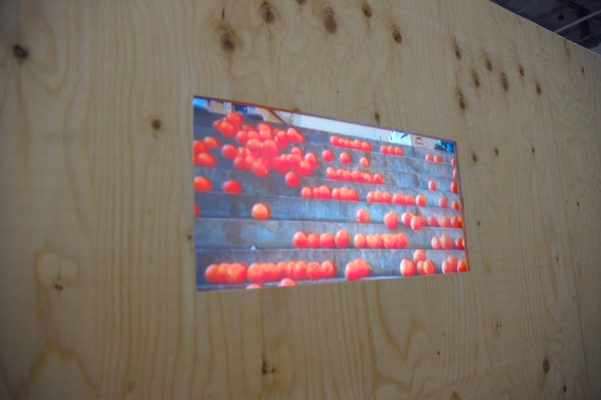 Koki Tanaka, installation view, residency.