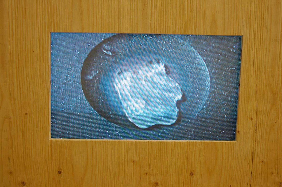 Koki Tanaka, installation view, residency.