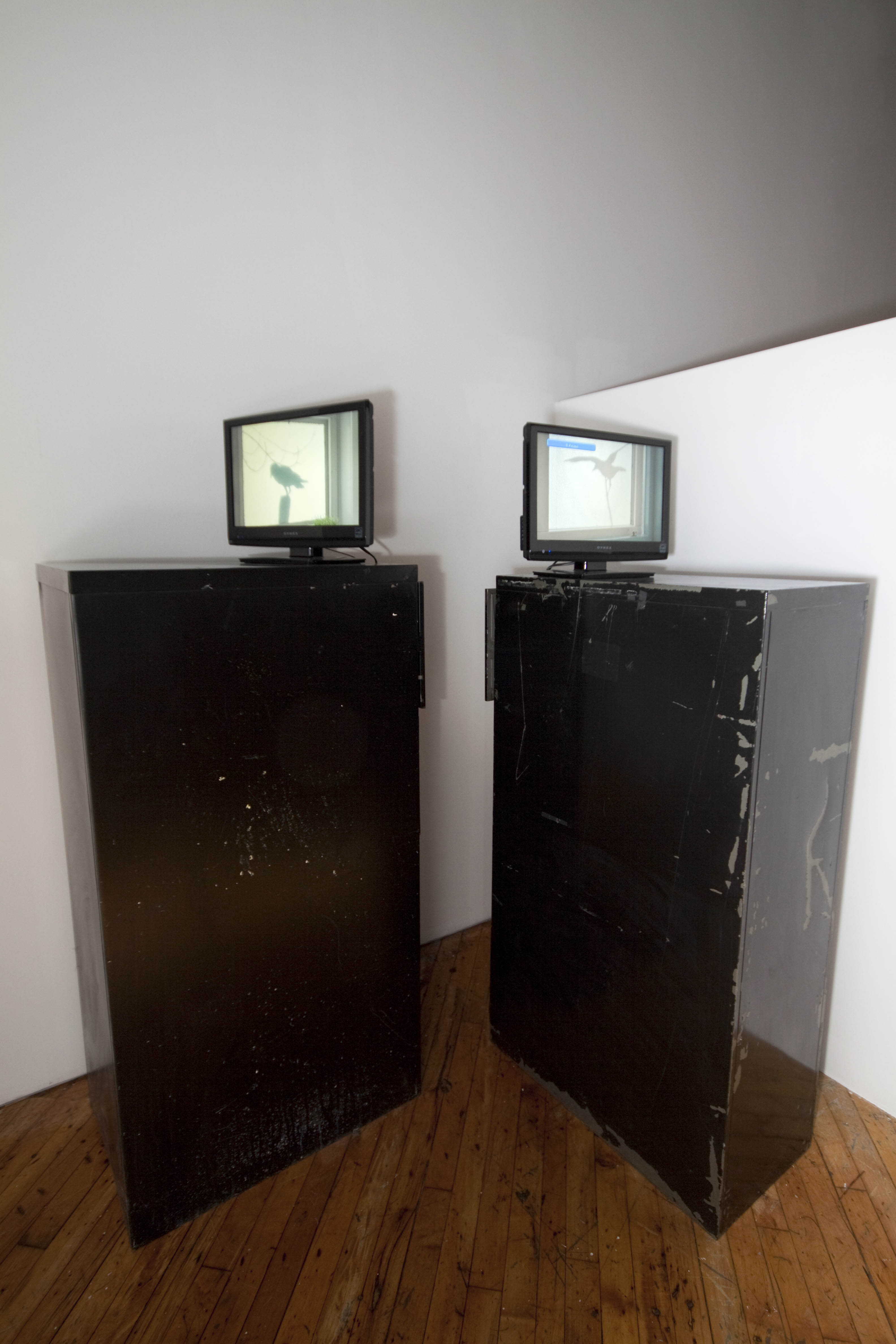 Sarah Jane Gorlitz & Wojciech Olejnik, installation view, two video monitors on plinths.