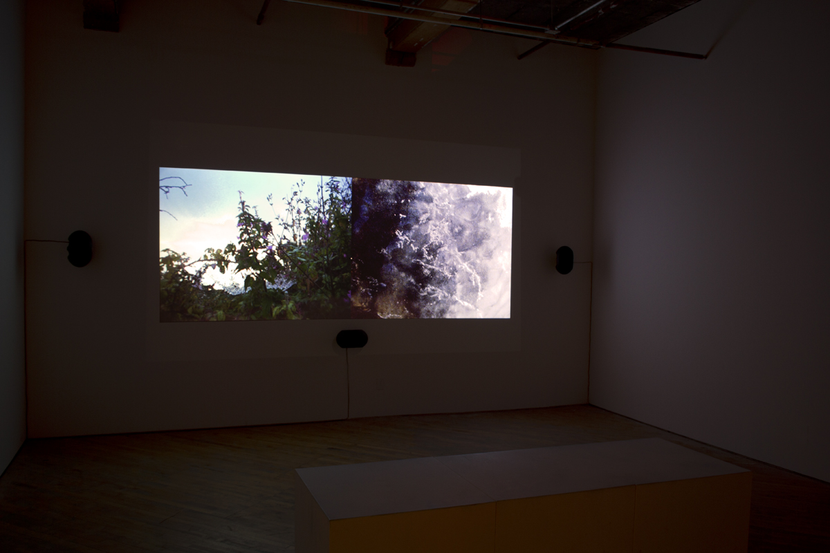 Joshua Bonnetta: installation view. video projection, split screen view of nature.