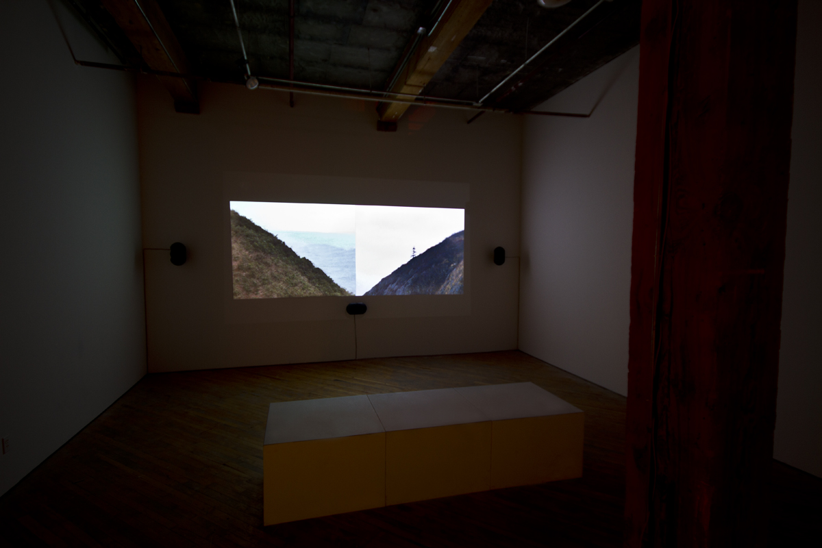 Joshua Bonnetta: installation view. video projection, split screen view of nature.