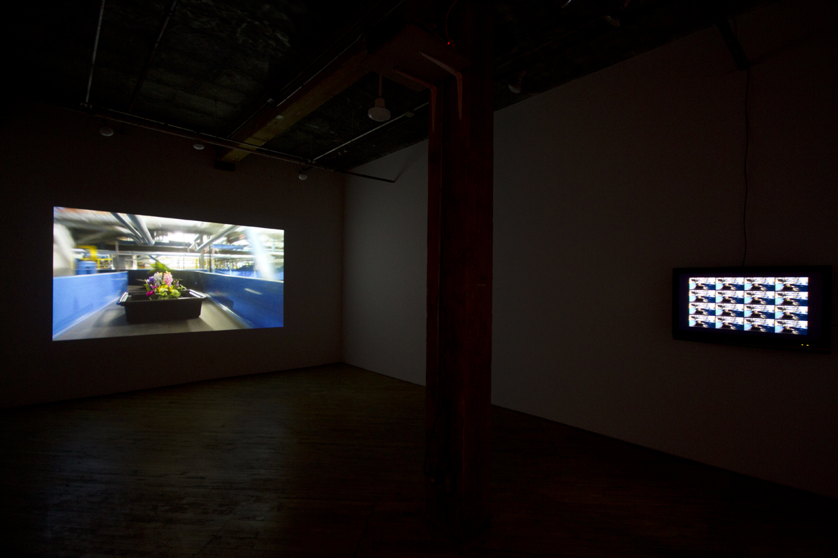 Patty Chang & Noah Klersfeld, installation view, video projection.