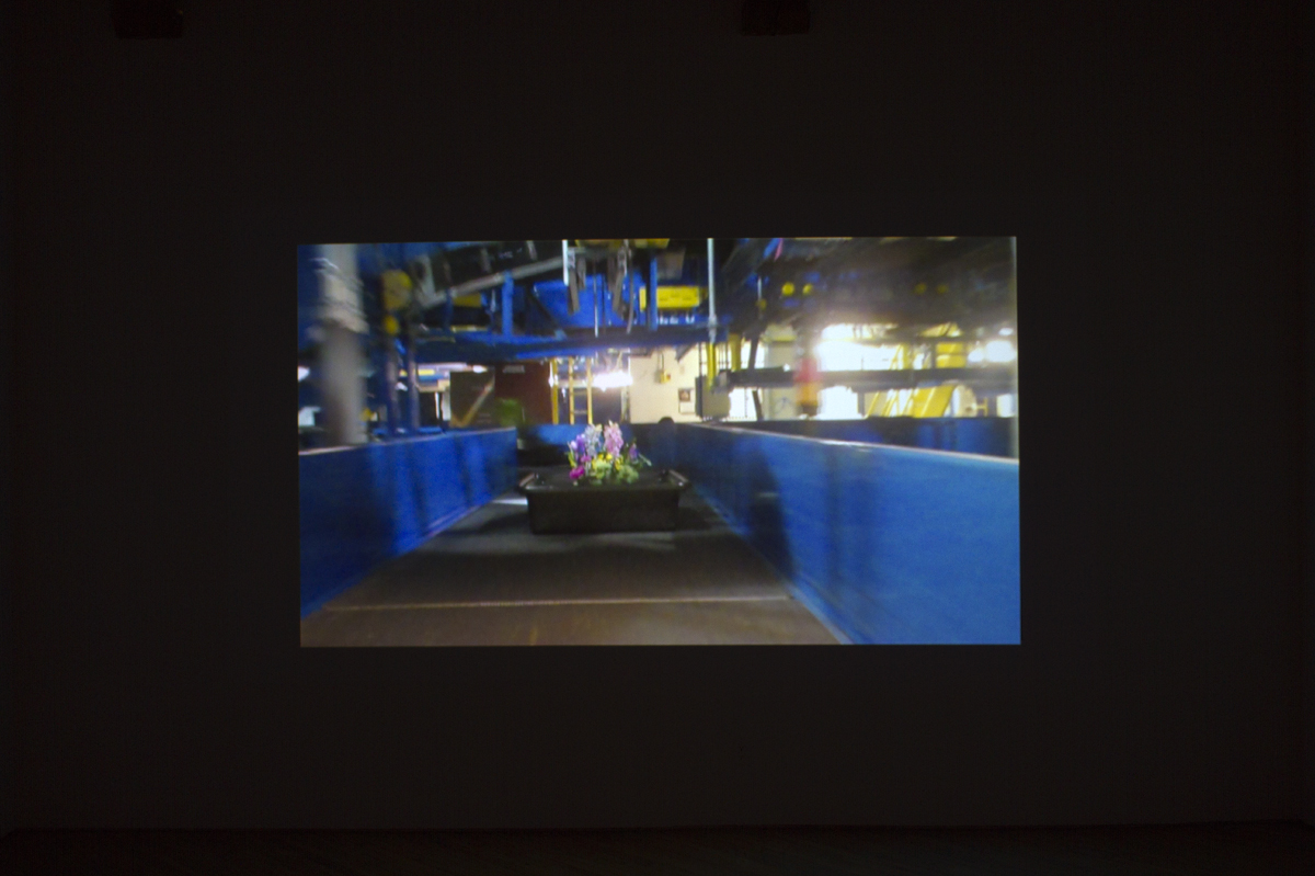 Patty Chang & Noah Klersfeld, installation view, video projection.