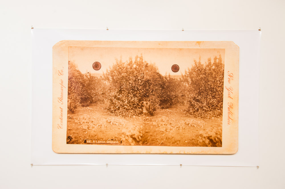 YYZLAB at Lakeshore Arts: Installation view