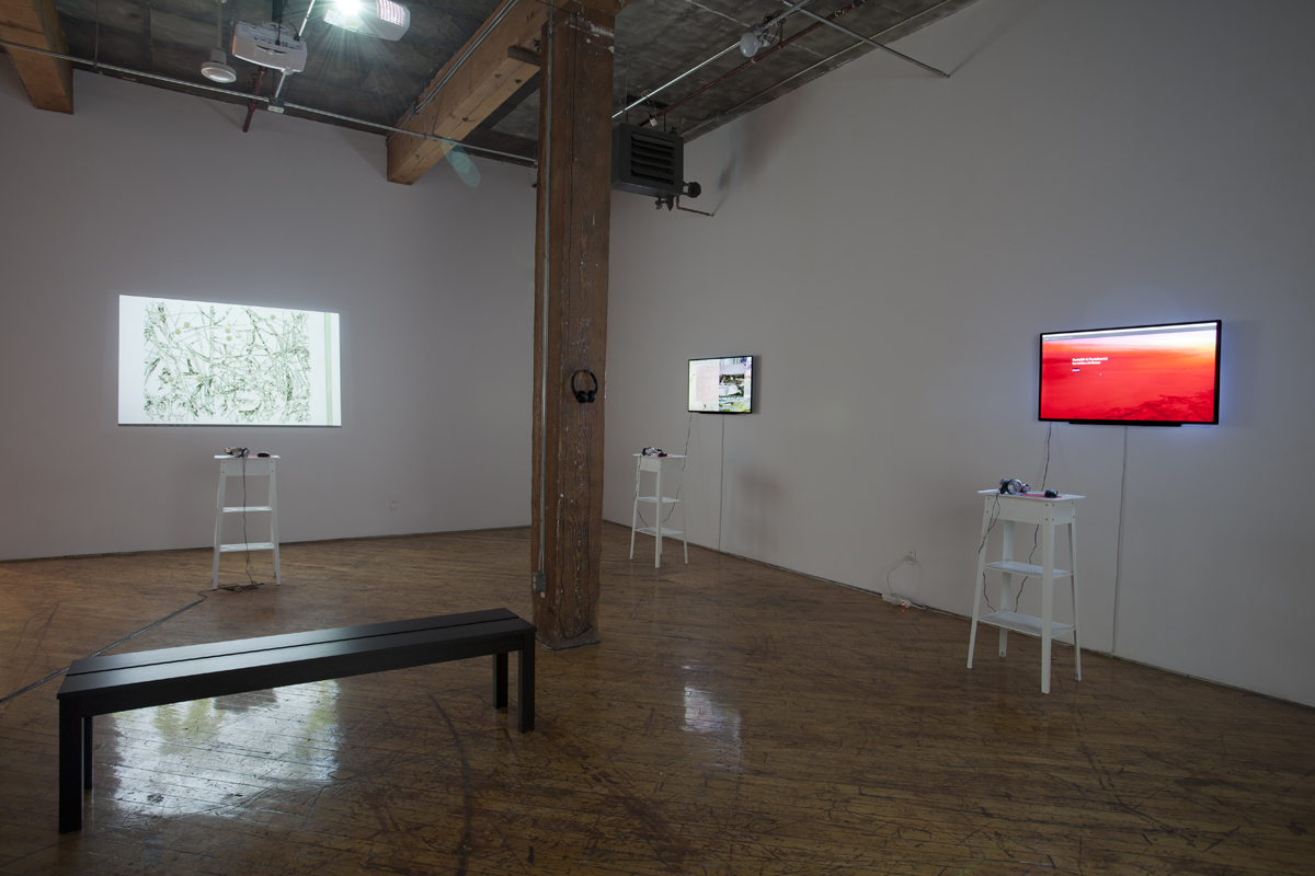 voz--voz/voice--voice provides a space for the articulation of different voices in the context of creative narratives and the frameworks enabled by new media and digital technologies, video projection