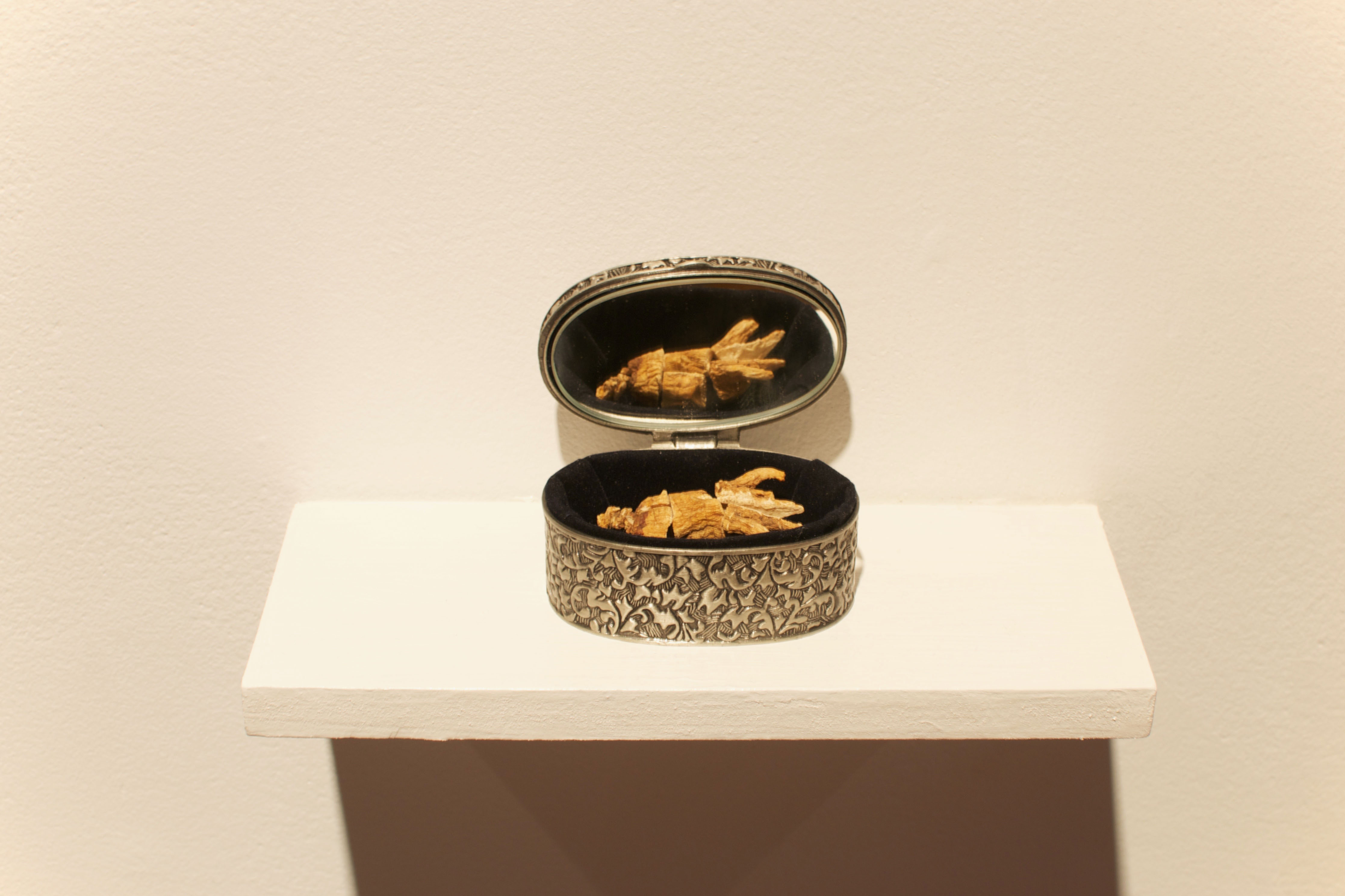 YYZ Lab, installation view,Stephanie Duran Castillo
