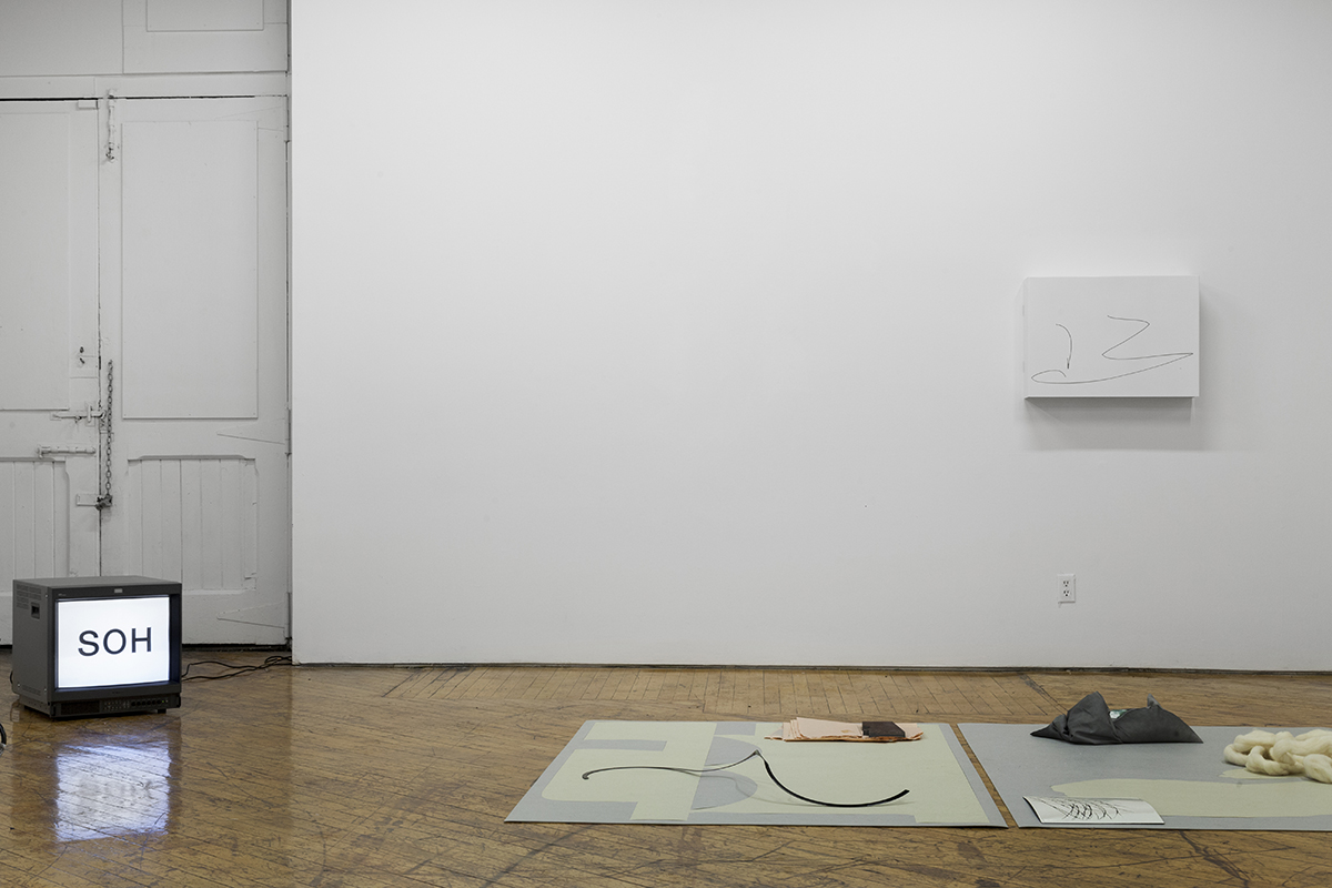 Marie-Michelle Deschamps + Bryan-K. Lamonde, installation view.