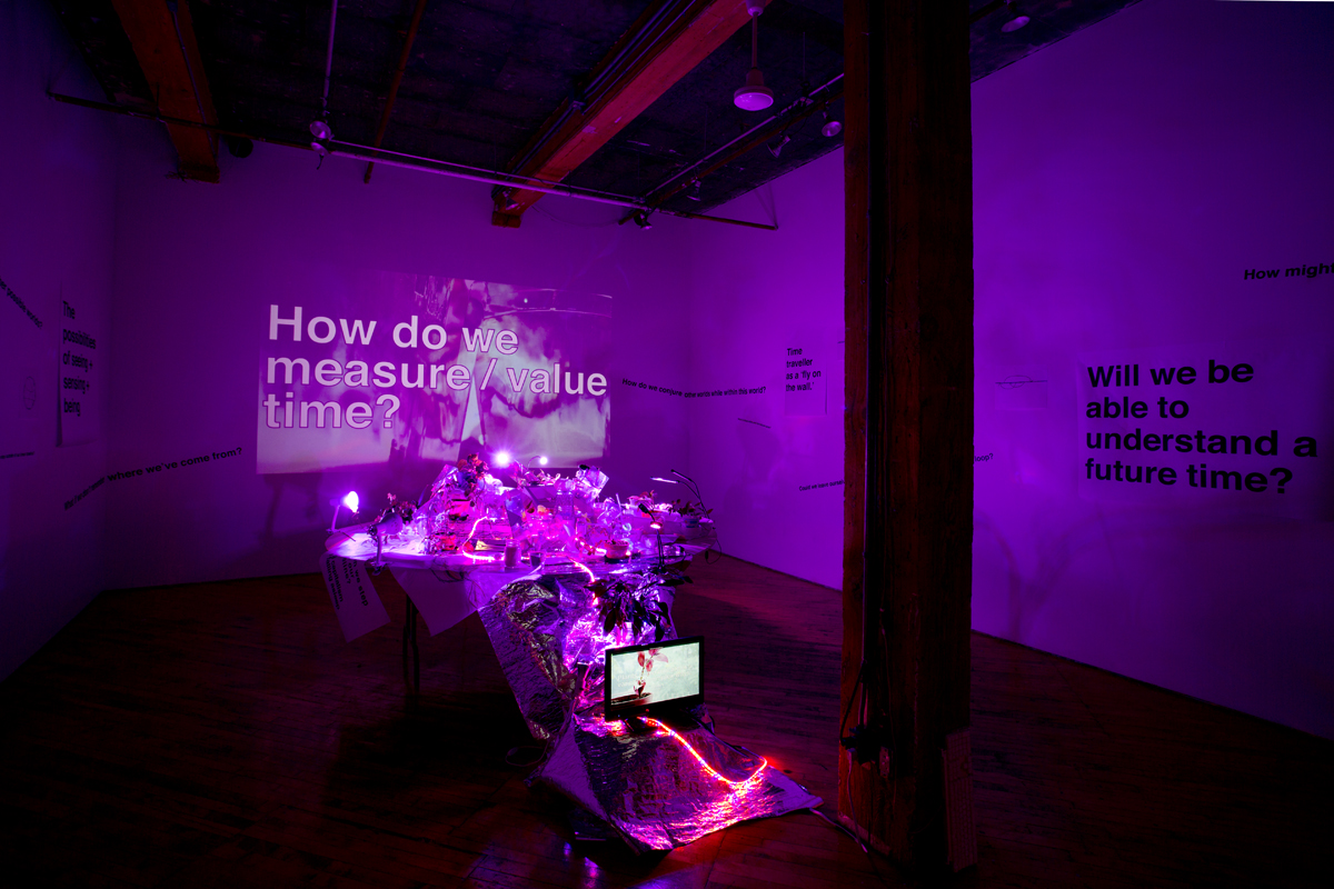 Shattered Moon Alliance, Images Festival, installation view, neon pink light and text.