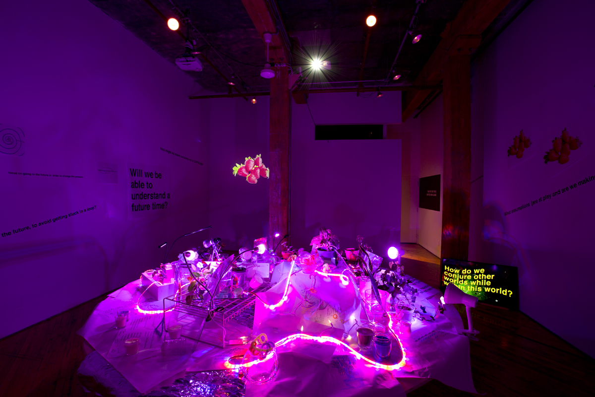 Shattered Moon Alliance, Images Festival, installation view, neon pink light and text.