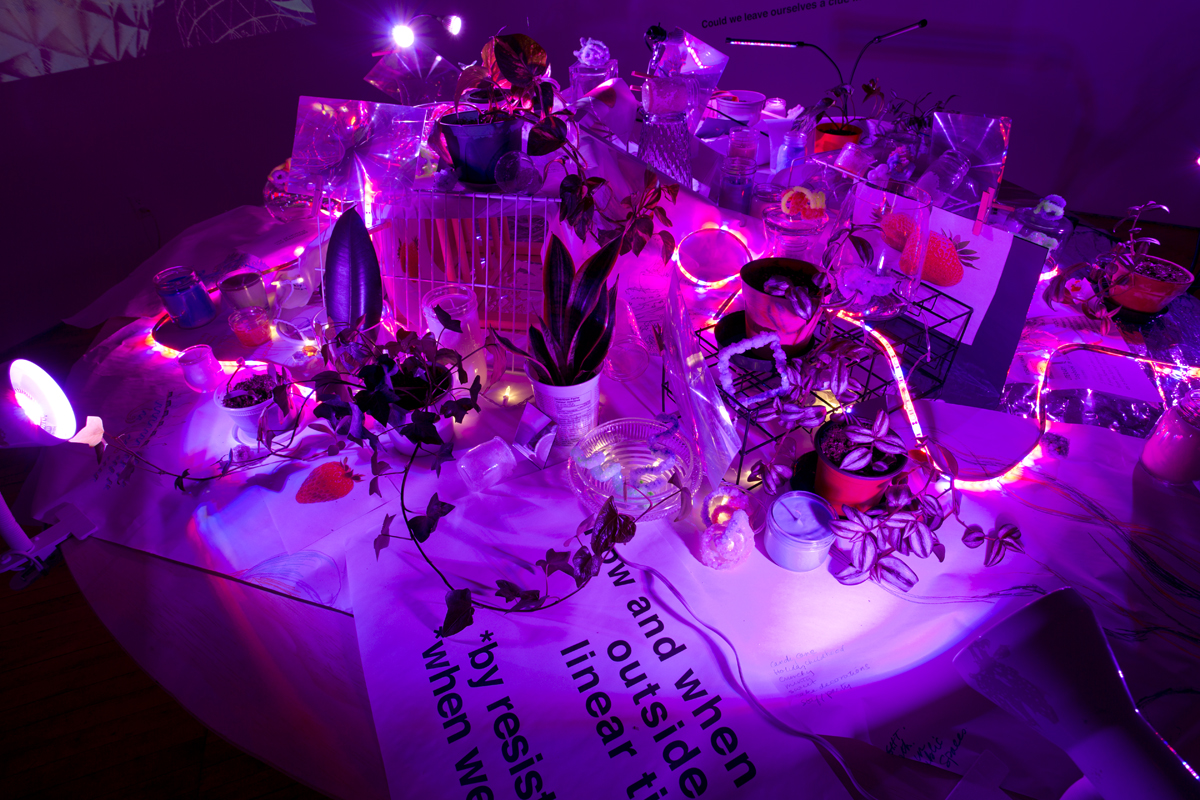 Shattered Moon Alliance, Images Festival, installation view, neon pink light and text.