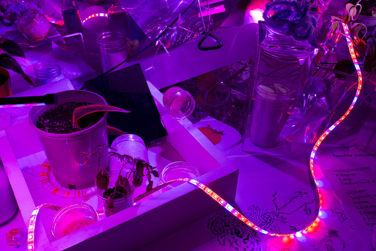 Shattered Moon Alliance, Images Festival, installation view, neon pink light and text.