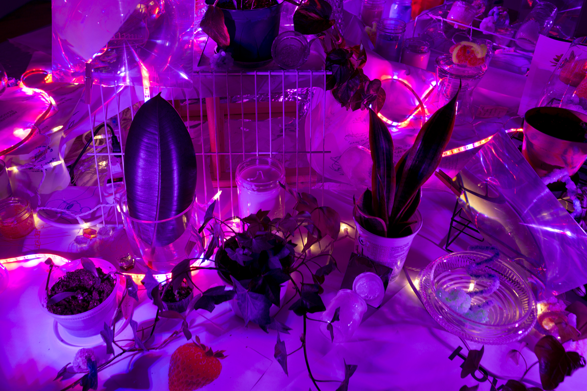 Shattered Moon Alliance, Images Festival, installation view, neon pink light and text.