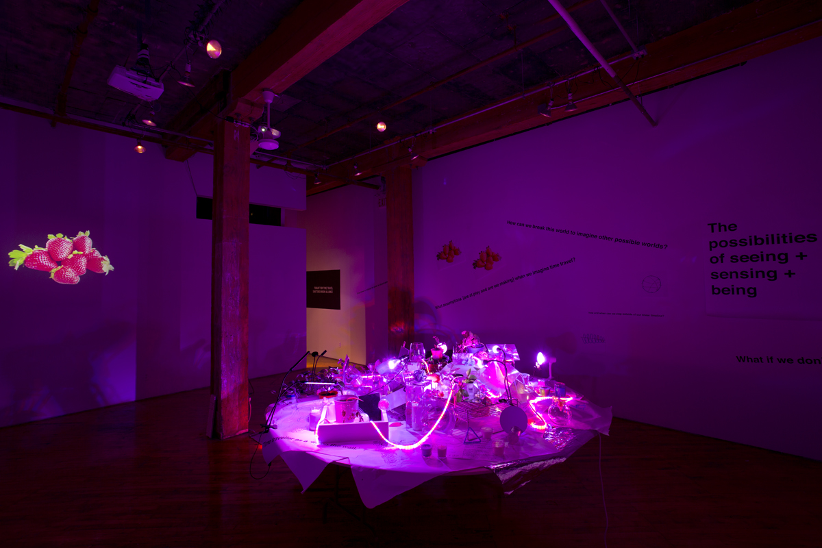 Shattered Moon Alliance, Images Festival, installation view.