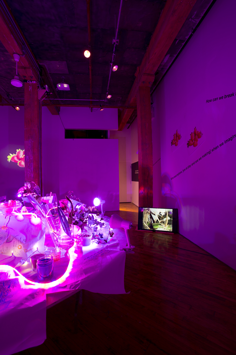 Shattered Moon Alliance, Images Festival, installation view.