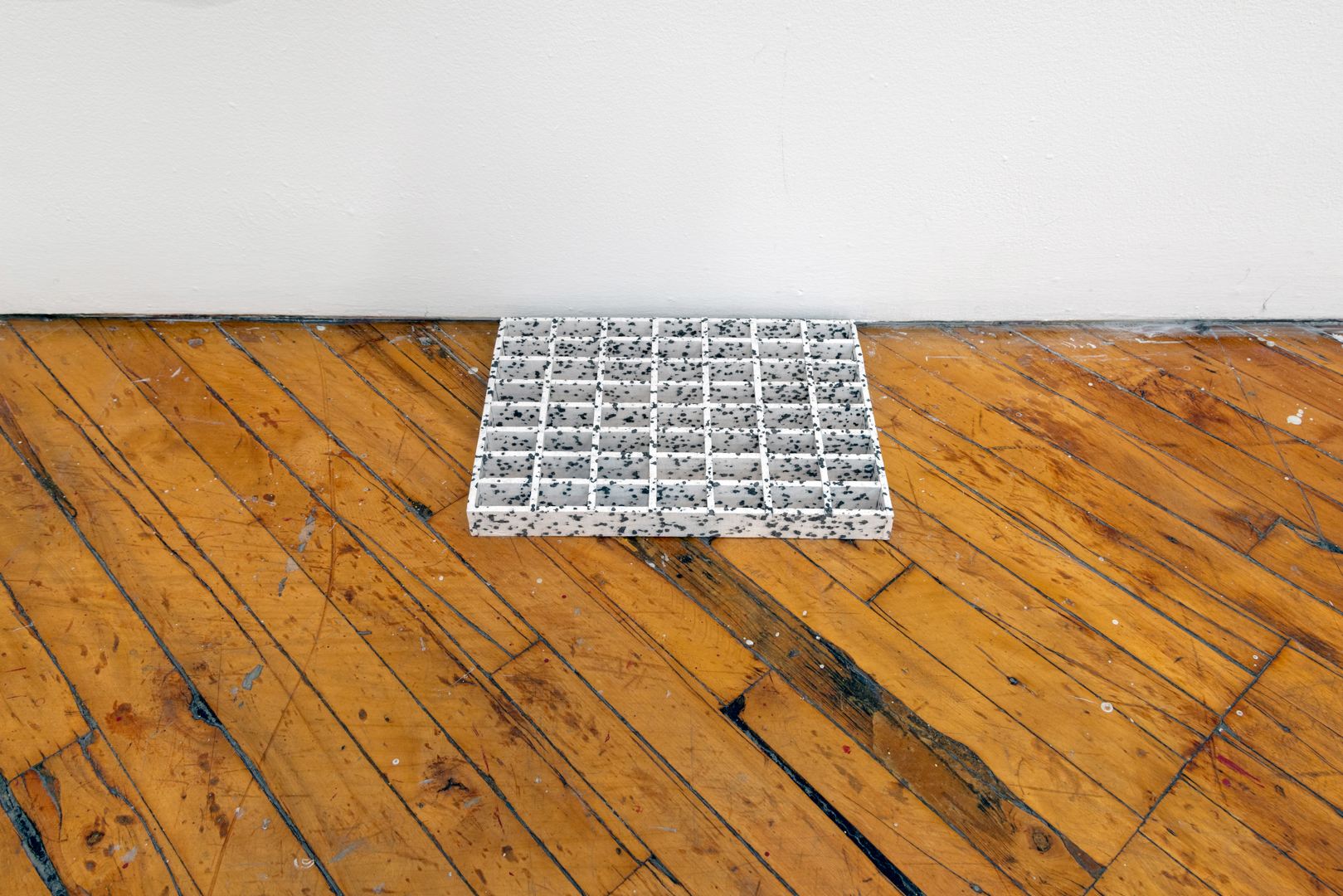 Tegan Moore, Installation view.