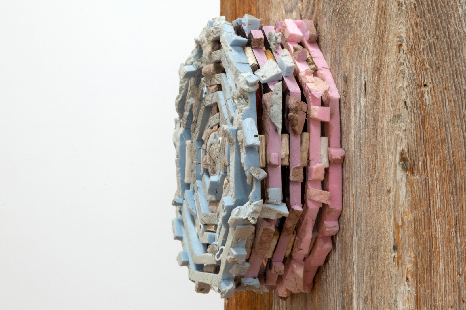 Tegan Moore, Installation view, textiles coiled hung on the wall