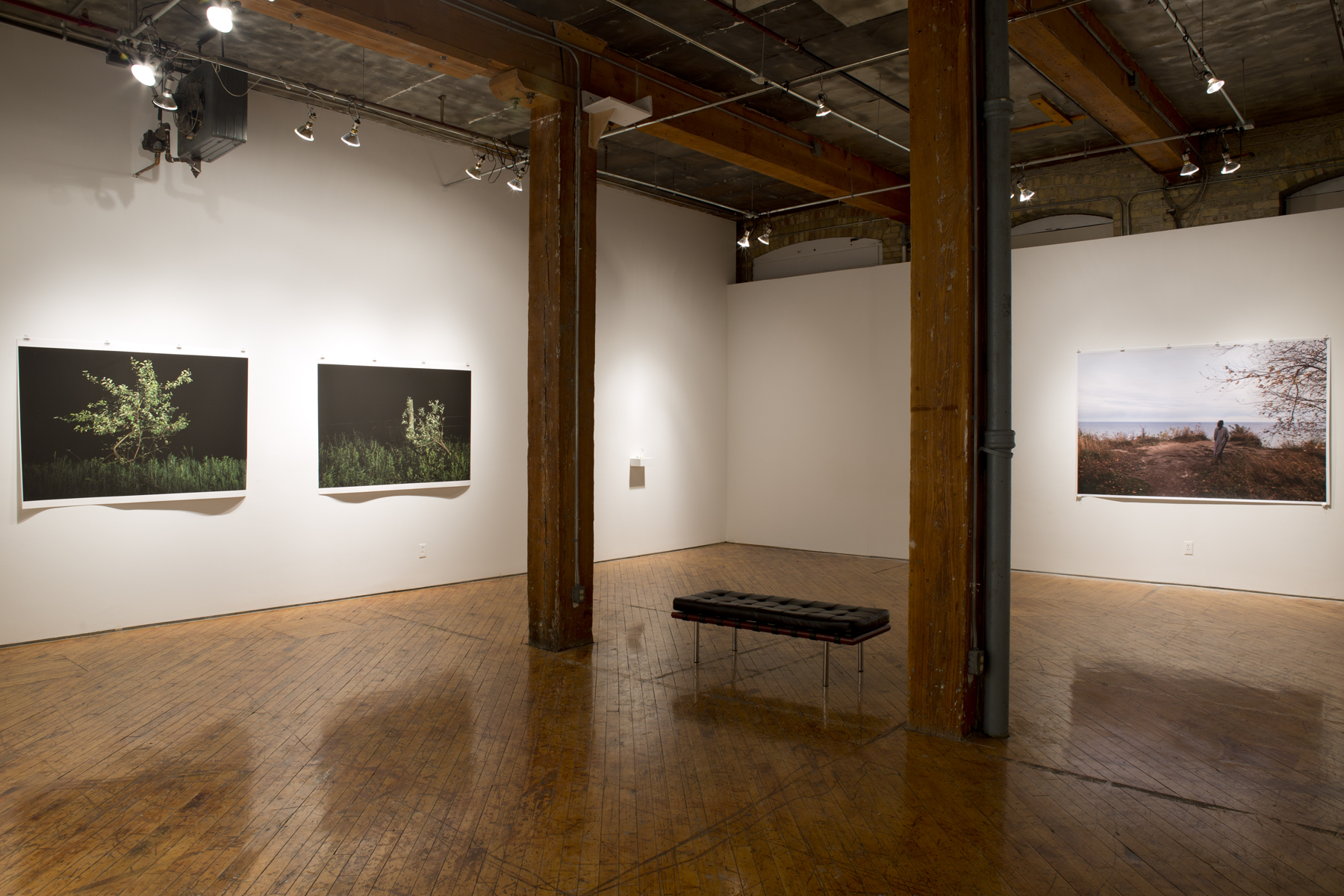 Nina Leo, Moez Surani, installation view of prints.