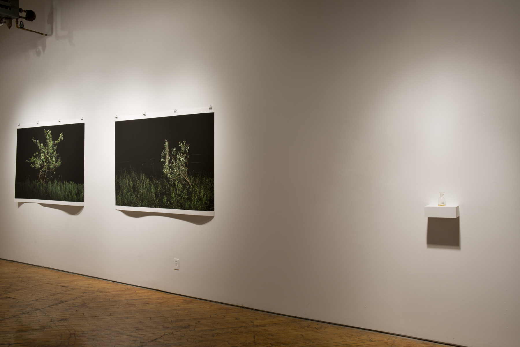 Nina Leo, Moez Surani, installation view of prints.