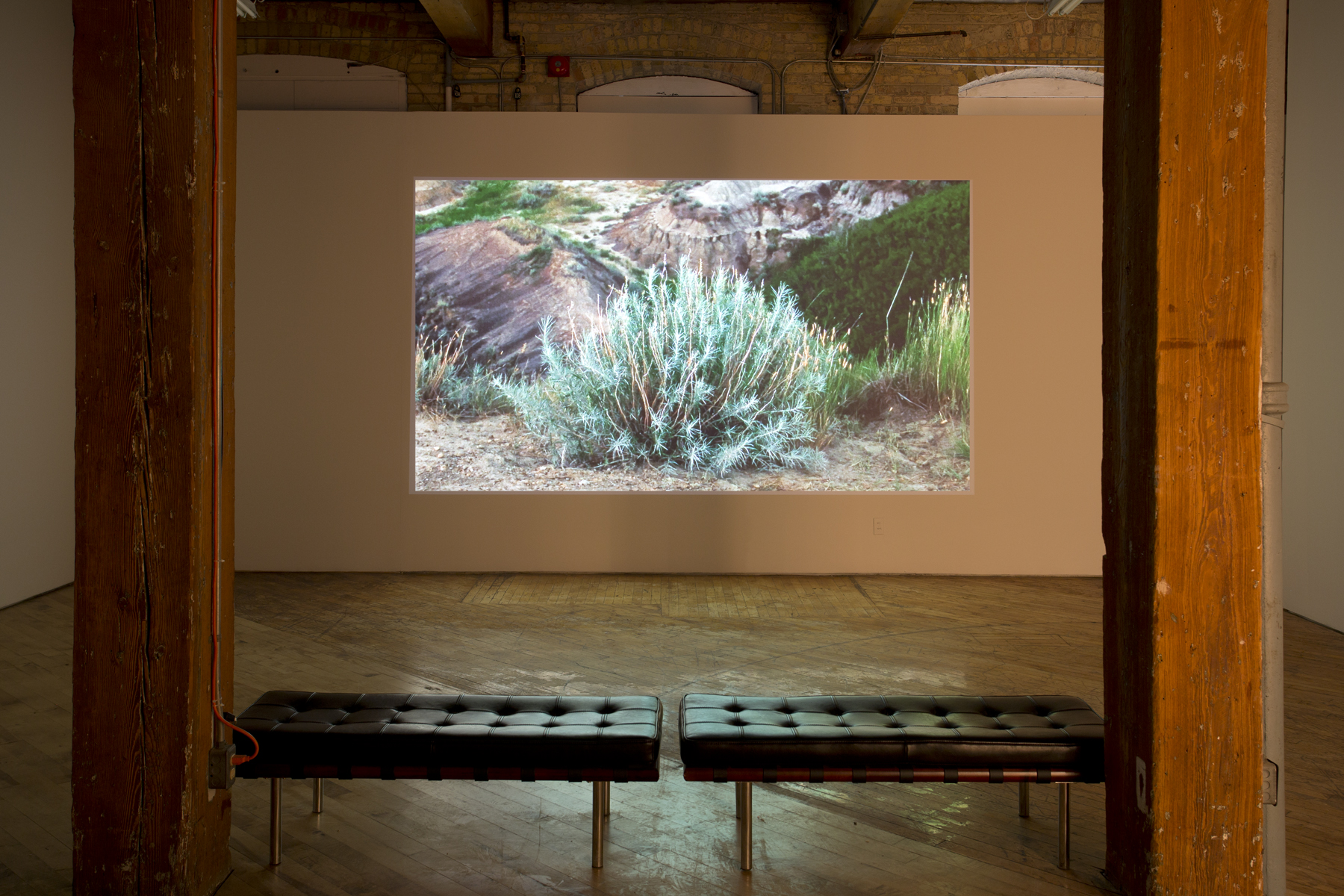 Eva Kolcze, projection of rock formations from Alberta Badlands.