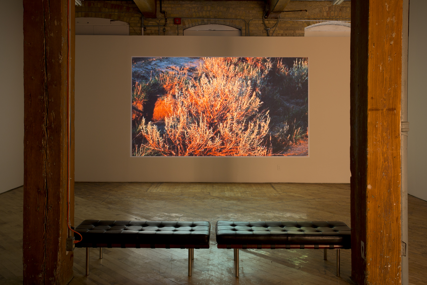 Eva Kolcze, projection of rock formations from Alberta Badlands.