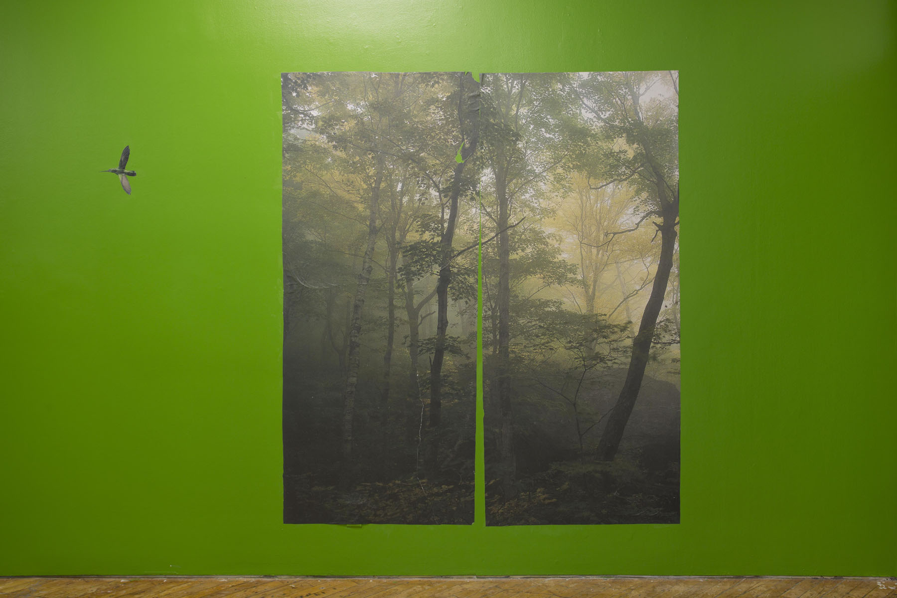 Aaron Jones, image of abstract forest, larger scale print, green walls.