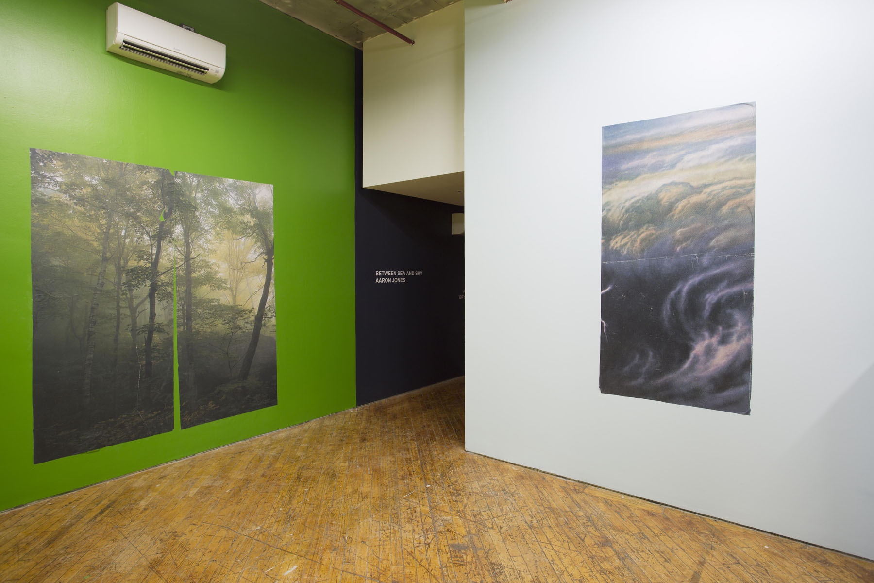 Aaron Jones, image of installation view, green wall with prints adjacent to a white wall with print.