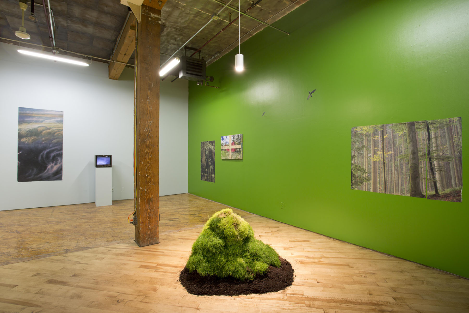 Aaron Jones, image of installation view, green walls with prints and mound of moss.