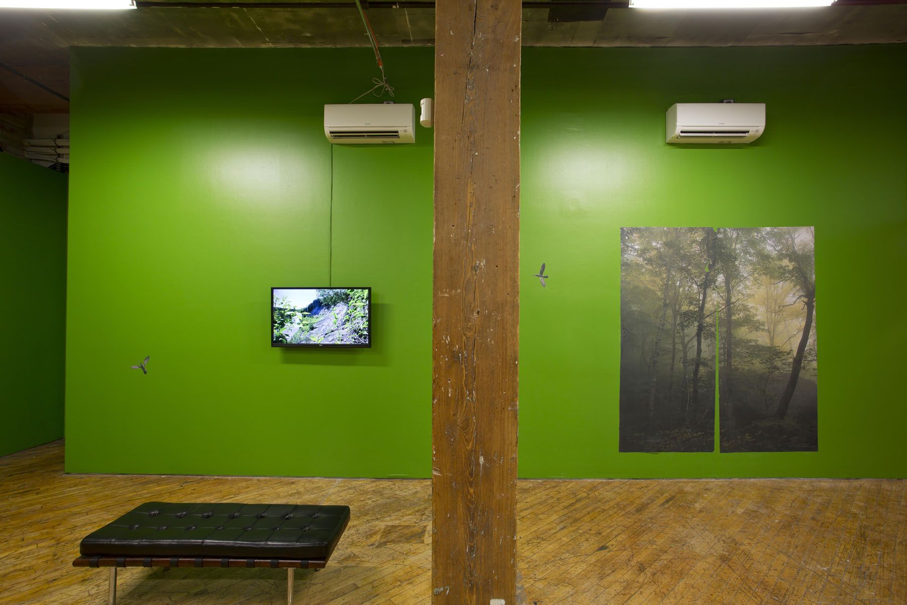 Aaron Jones, image of installation view, photographs and monitor.