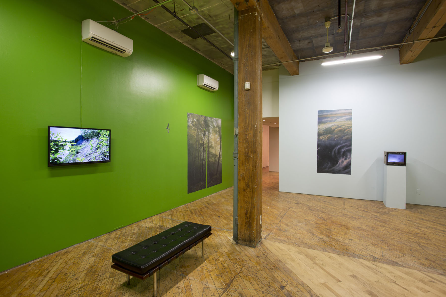 Aaron Jones, image of installation view, green walls with prints.