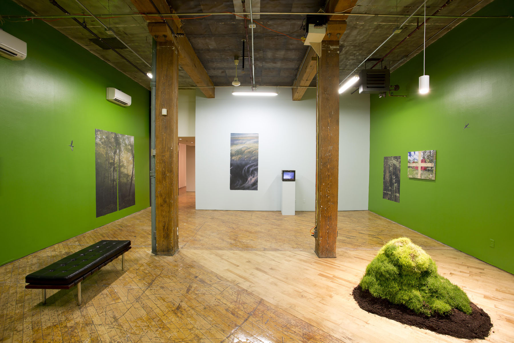 Aaron Jones, image of installation view, photographs and mound of moss.