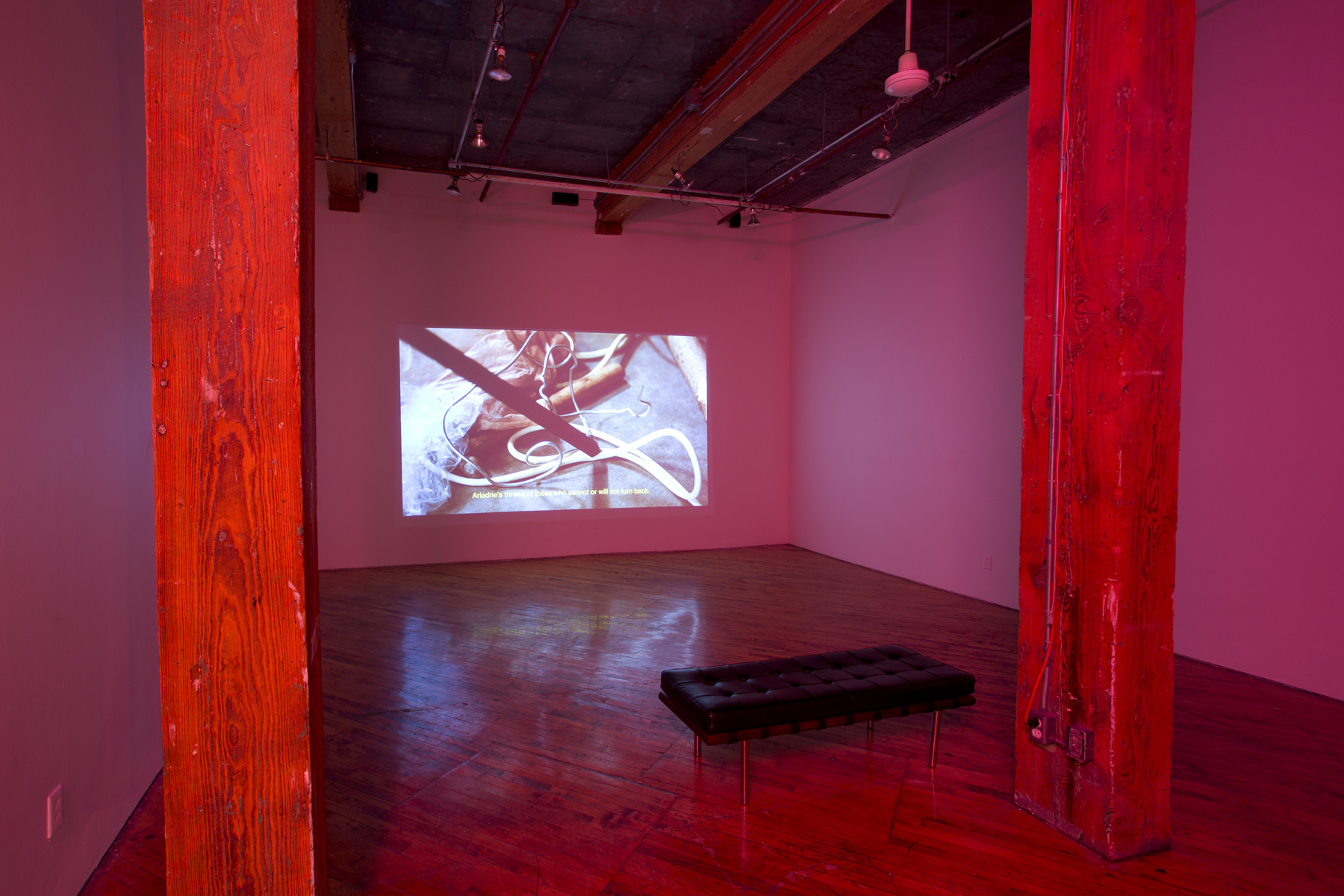 Edith Brunette and François Lemieux, installation view, projection.