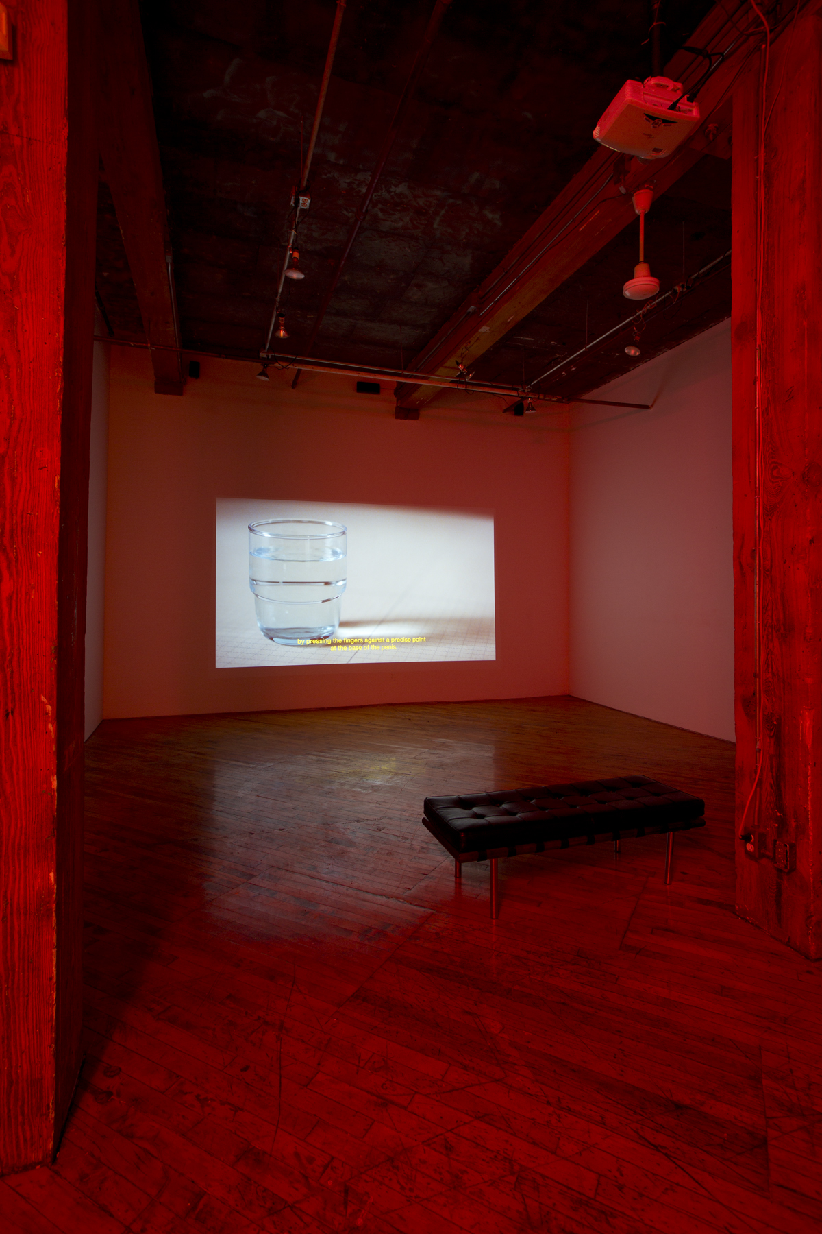 Edith Brunette and François Lemieux, installation view, projection.